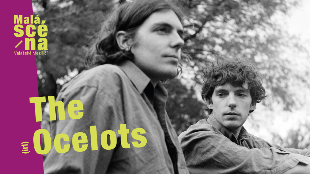 Jarní Jazz & Bluesové dny: The Ocelots (IRL)