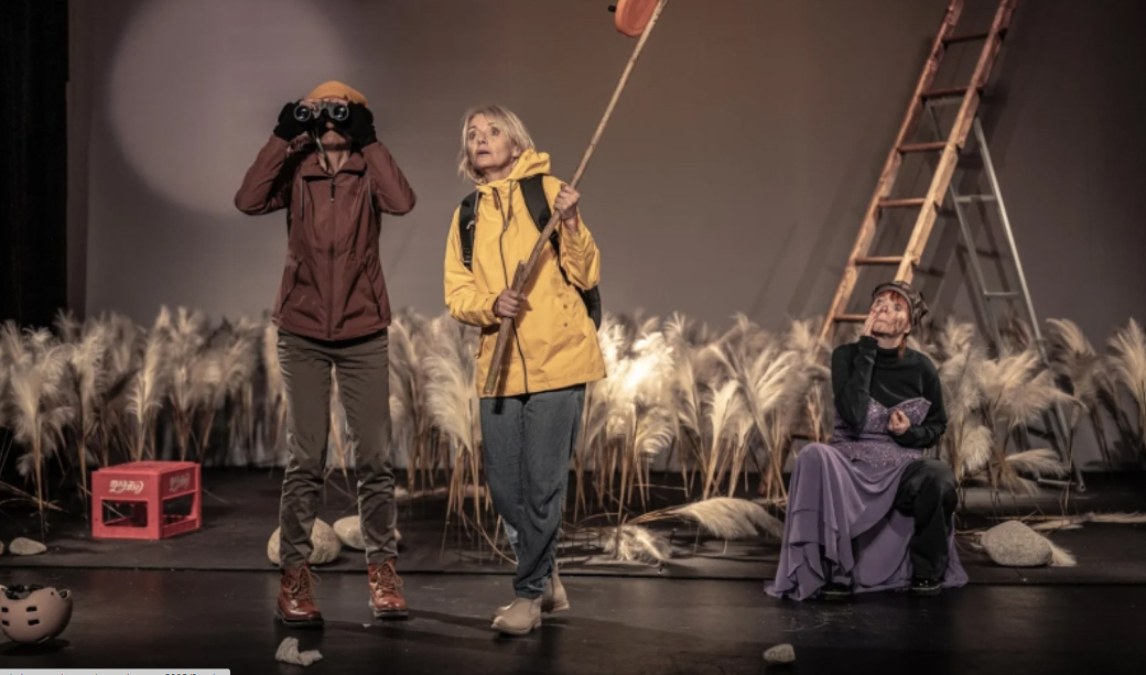 Divadlo Radka Brzobohatého uvede ve ValMezu Trosečnici