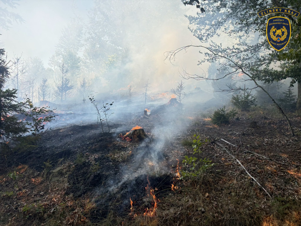 V Zašové hořel les. Zásah komplikoval terén
