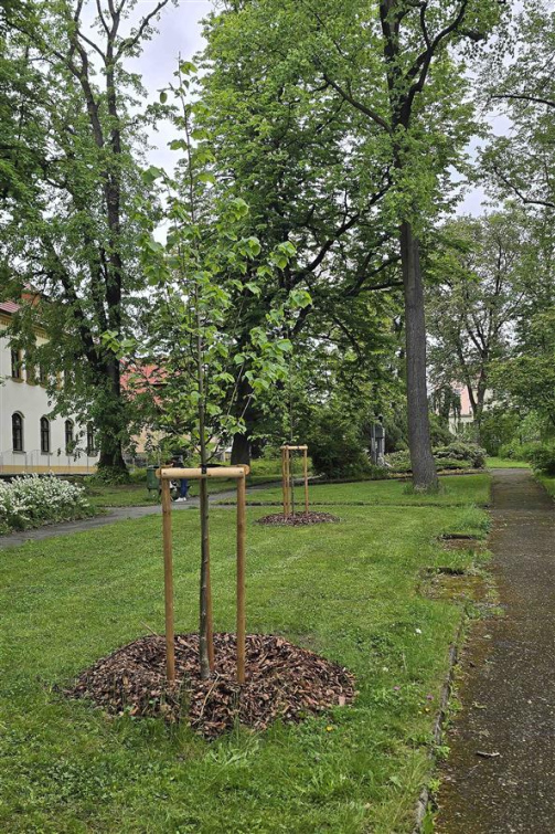 Pokračuje proměna parku Botanika v centru města