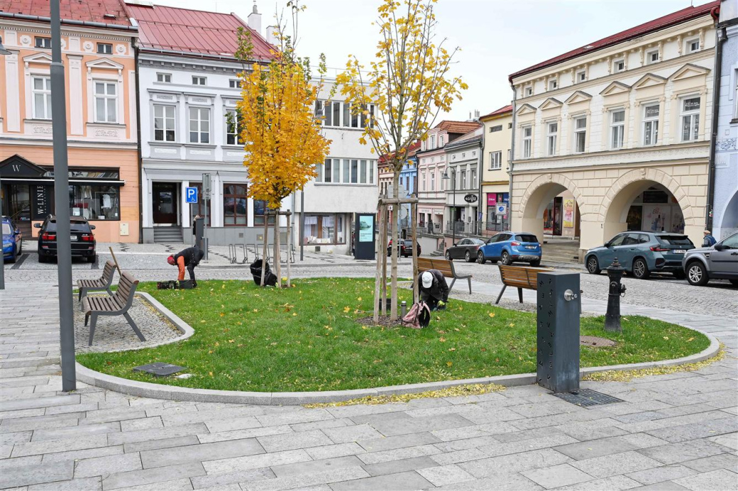 Valmez na jaře ozdobí 45 000 nových cibulovin