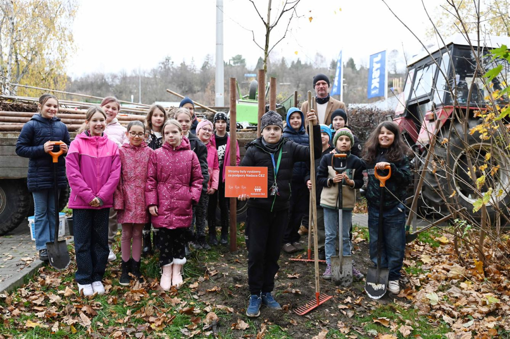 Na Rožnovské ulici je 15 nových bříz