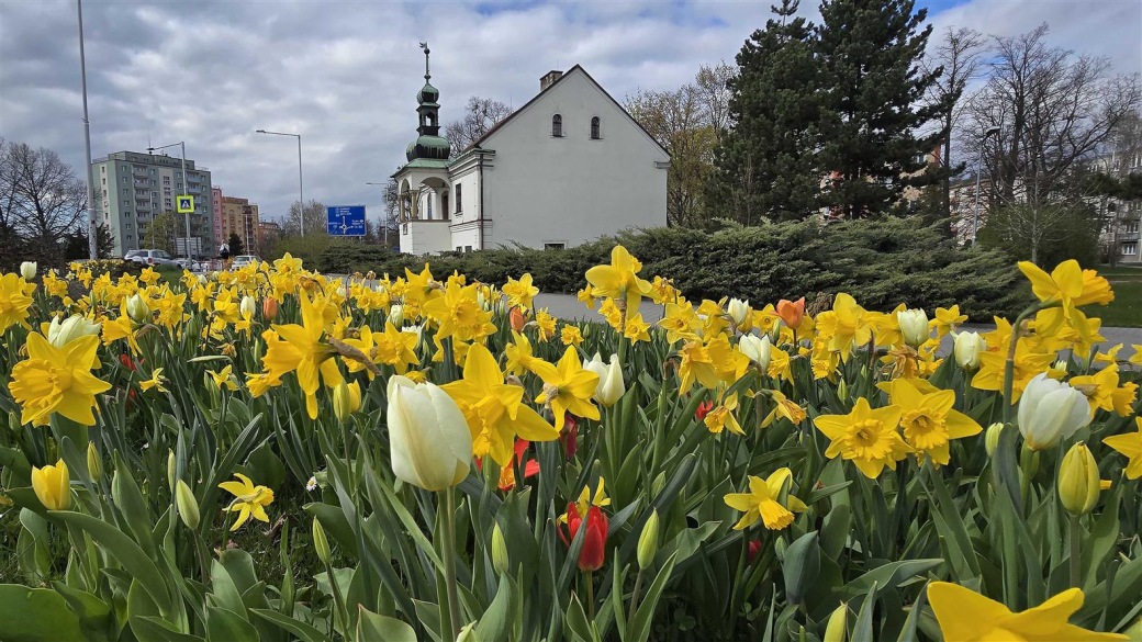 Dlouhodobá péče o zeleň se Valmezu vyplácí