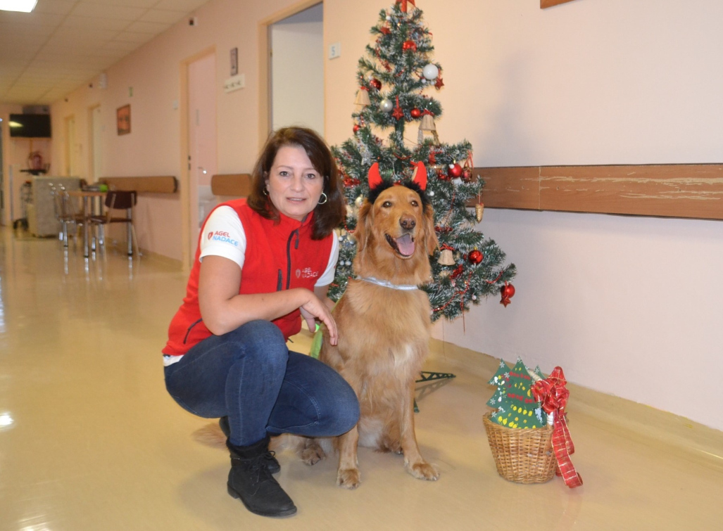 Nemocnice AGEL Valašské Meziříčí se ponořila do vánoční atmosféry