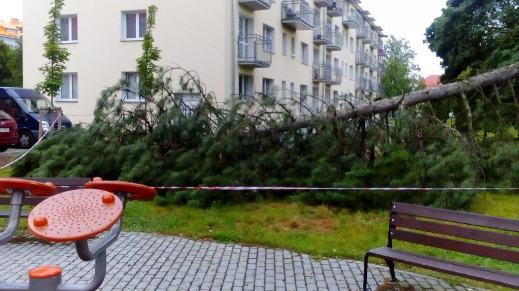 Silná bouře vyvracela stromy, pracuje se na odklizení škod