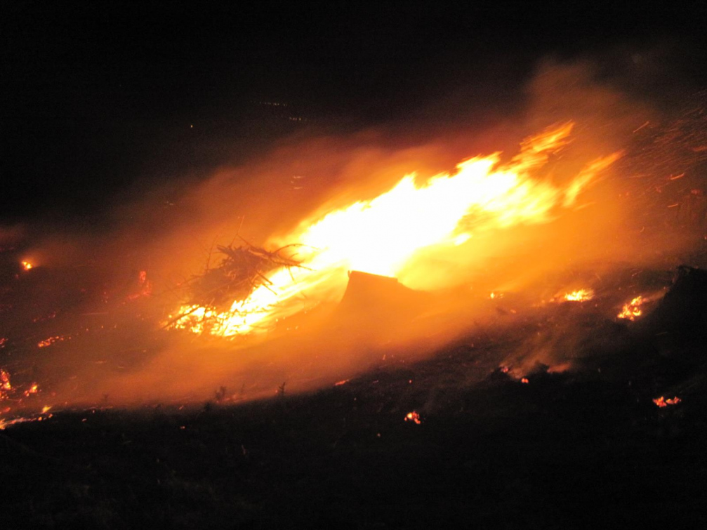 Hasiči ze Zlínského kraje celou noc zasahovali u rozsáhlého požáru u lesní školky na Vsetínsku