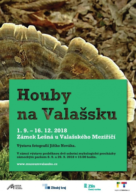 Výstava fotografií Houby na Valašsku