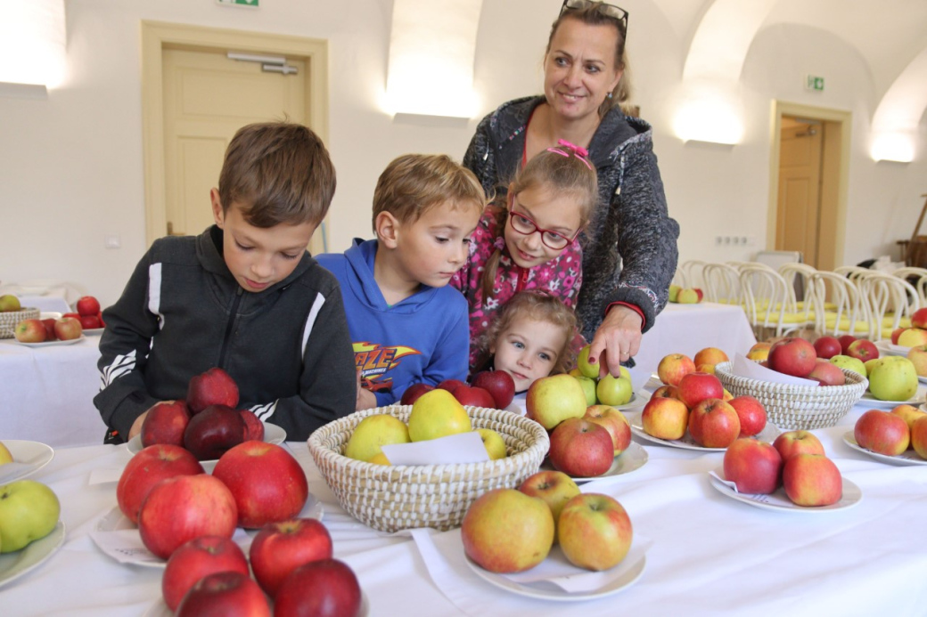 Muzeum na zámku Vsetín vystaví tradiční ovocné druhy z Valašska