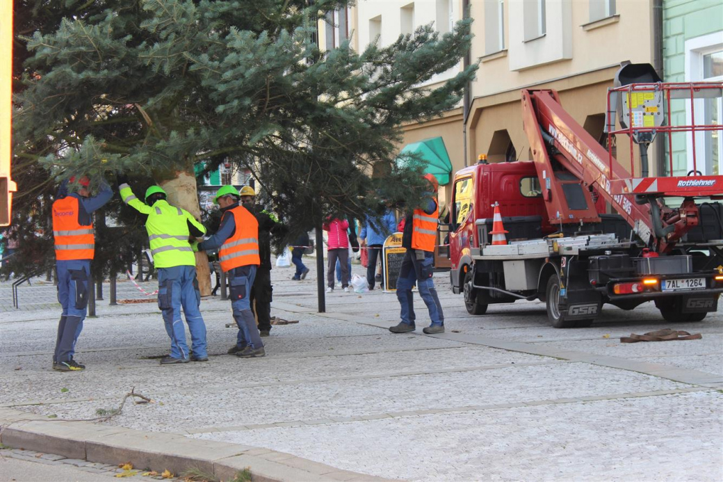Vánoční strom na Masarykově náměstí se rozsvítí v pátek 27. listopadu