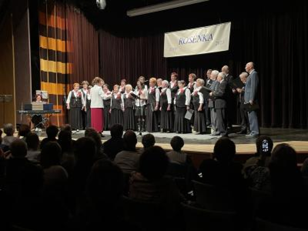 Rožnovští zastupitelé podpořili organizace v oblasti kultury, sociální a sportu