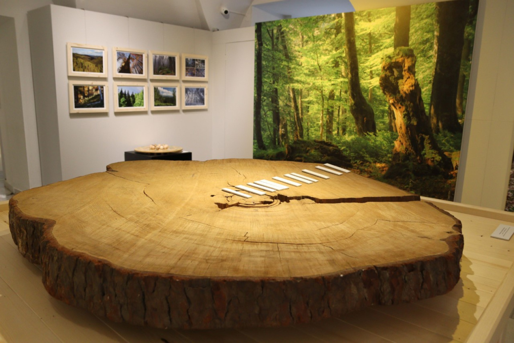 Muzeum zve na výstavu o lesích na Valašsku