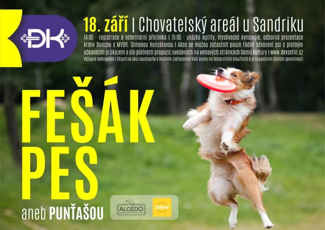 Pejskaři se opět po roce mohou zúčastnit akce „Fešák pes aneb Punťashow
