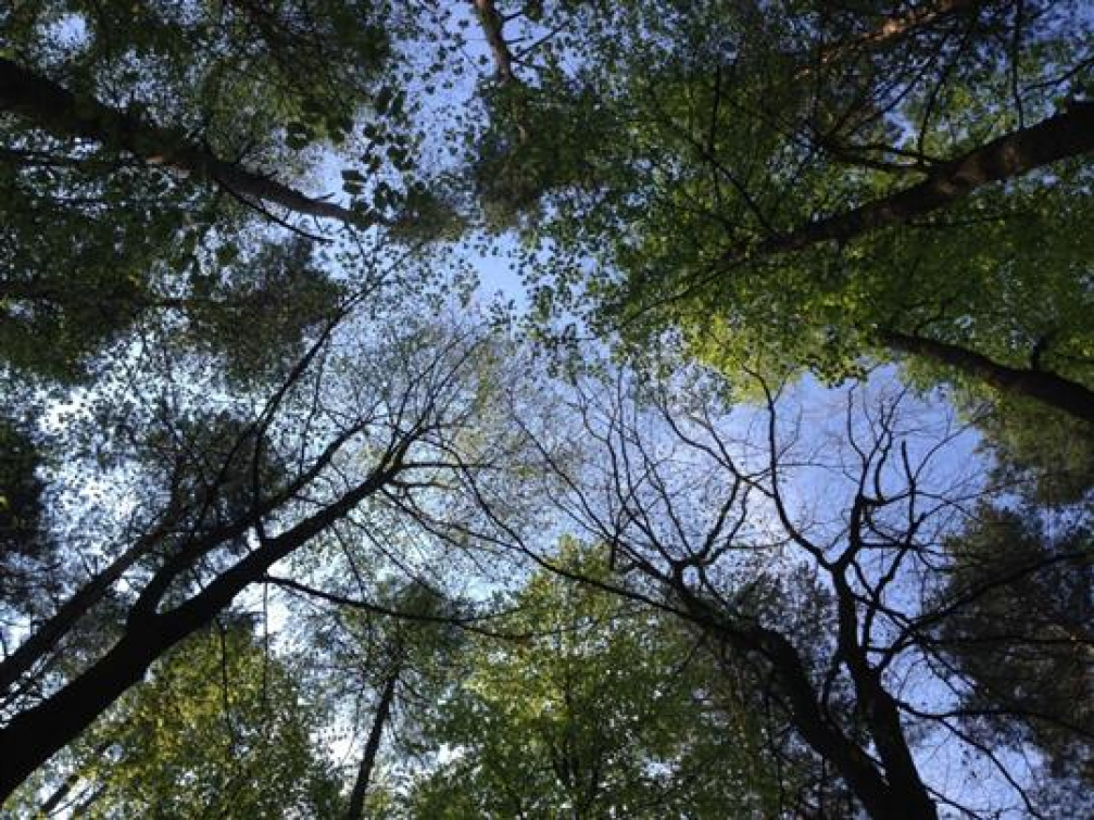 Park před Střední odbornou školou J. Sousedíka ve Vsetíně čeká revitalizace