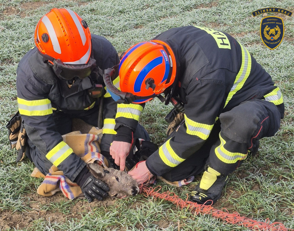 Hasiči zachraňovali dusící se srnu 