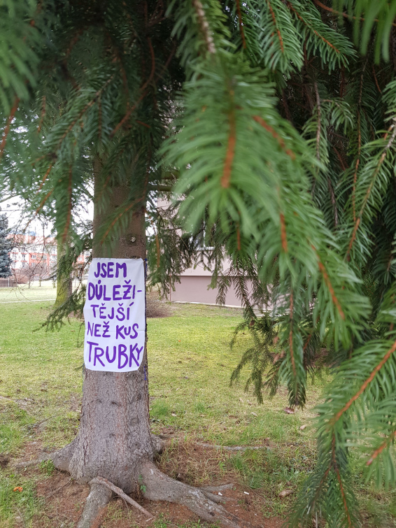 Stromy v ulicích Vsetína promluvily