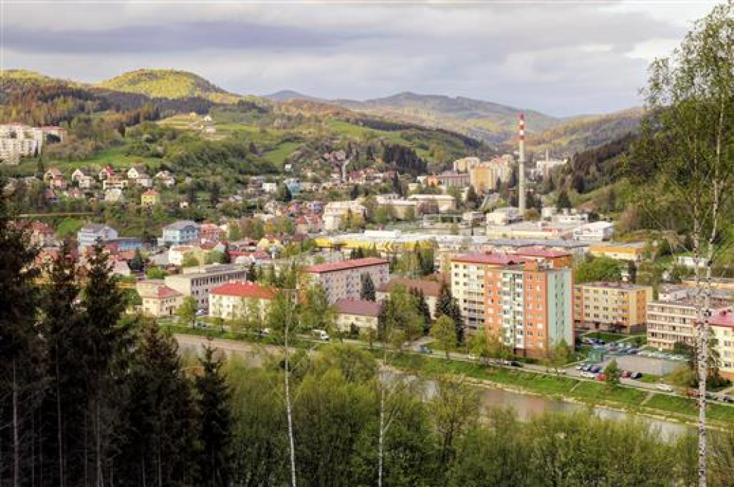 Vlastníci pozemků ve Vsetíně odpovídají za stav zeleně v blízkosti silnic