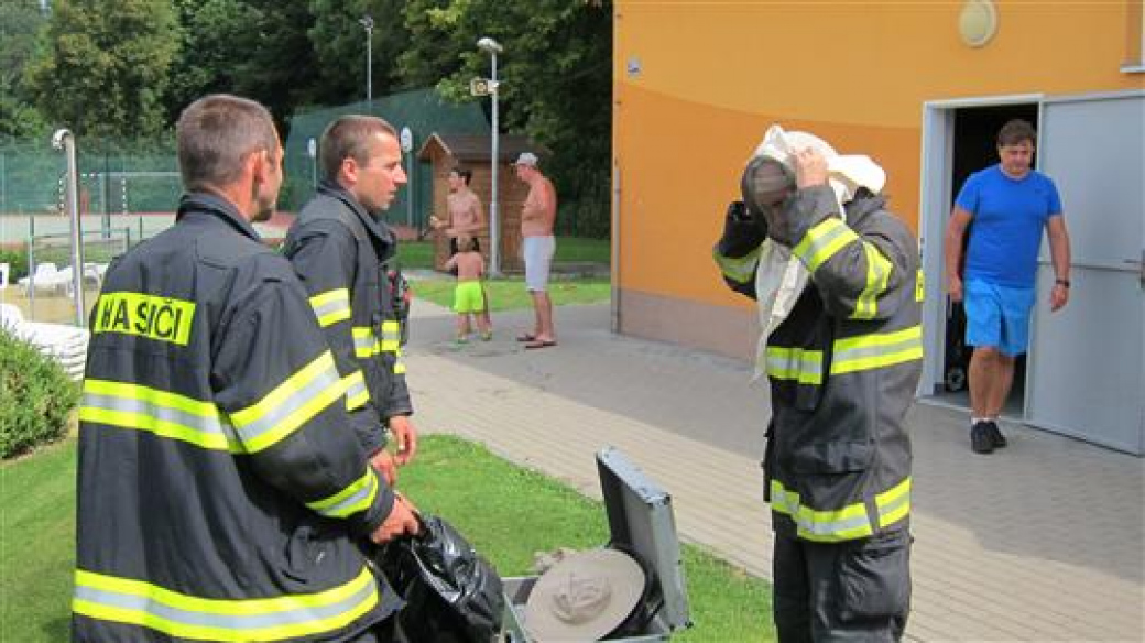 Hasiči v pátek zasahovali na koupališti proti vosám 