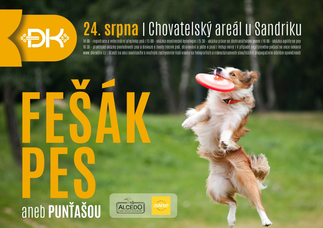 Blíží se další ročník vsetínské voříškijády Fešák pes aneb Punťašou