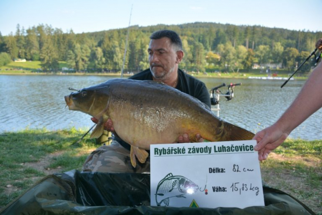 Rybářských závodů v Luhačovicích se zúčastnilo 440 rybářů. Vítězný kapr měl 82 cm