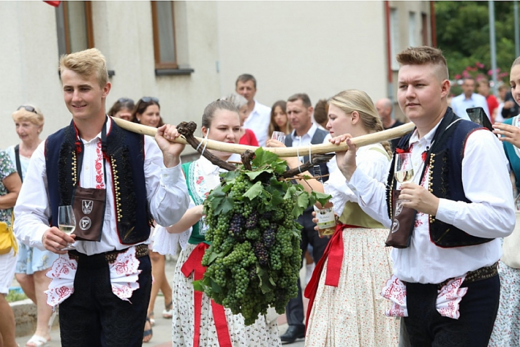 TOP Vínem Slovácka se letos stalo Rulandské šedé z Vinařství Rochůz Uherské Hradiště