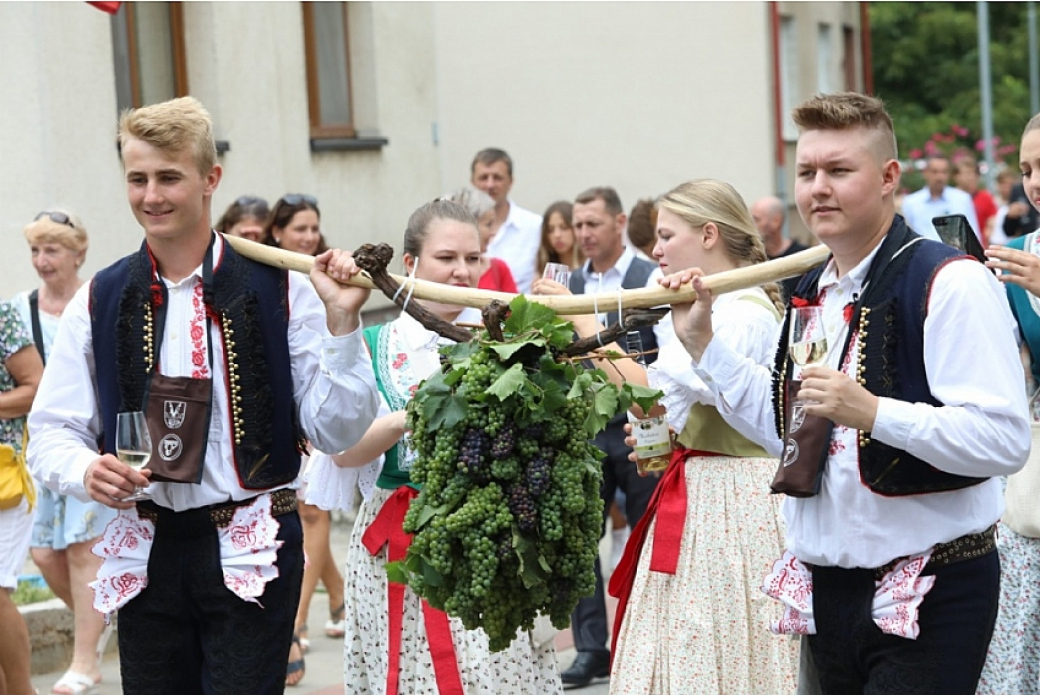 Vinaři, přihlaste se do soutěže „TOP VÍNO SLOVÁCKA“! 