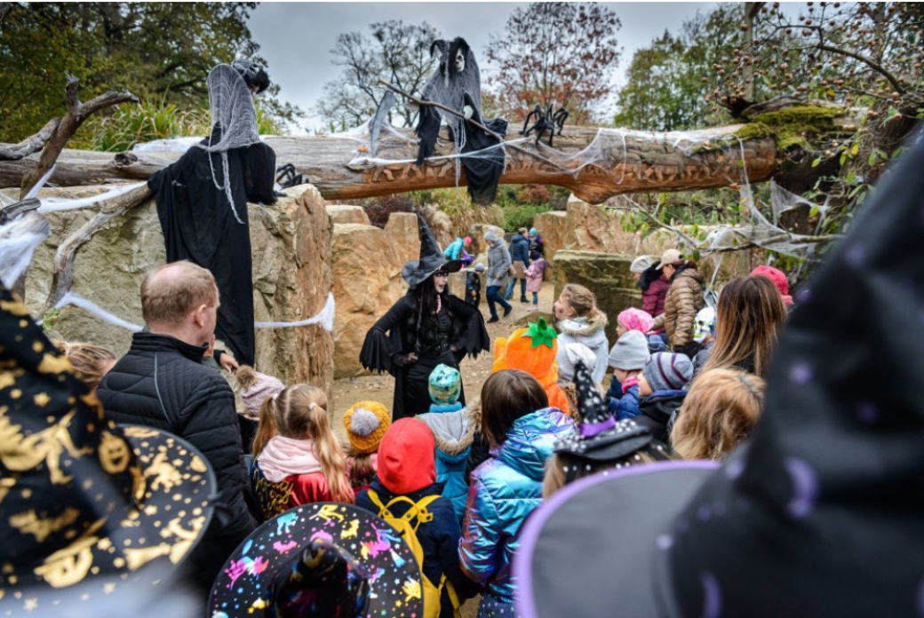 Halloween klepe na dveře. Speciální program nabídne i zlínská zoo