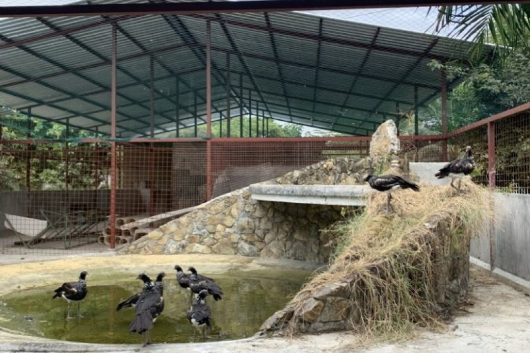 Zlínská zoo pomáhá budovat záchranné centrum v Ekvádoru