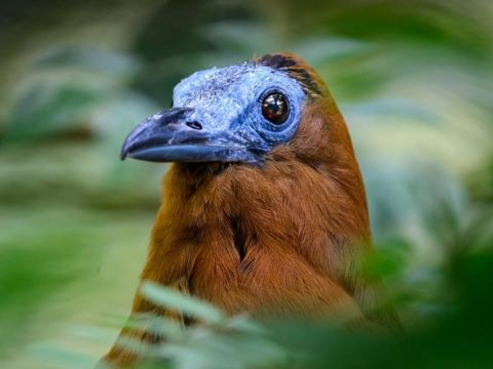 Provoz zlínské zoo má pozitivní dopad na regionální i celostátní ekonomiku