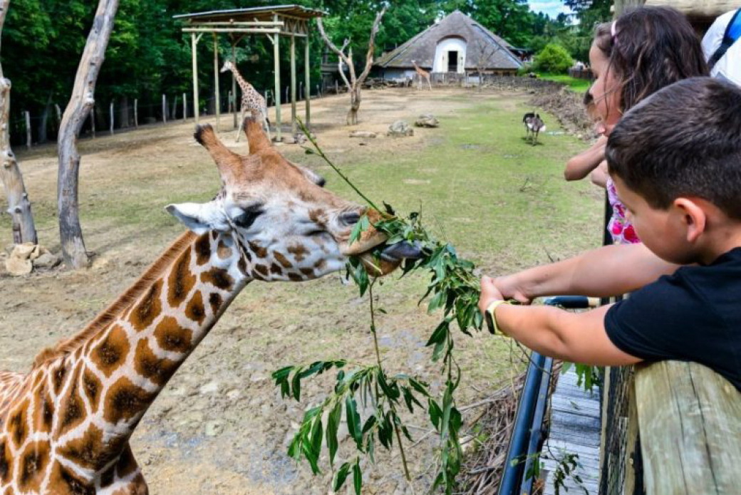 Zlínská zoo rozjíždí projekt na podporu zvířat v ukrajinských zoologických zahradách