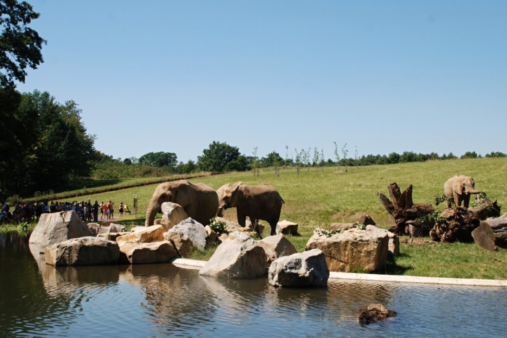 Zlínská zoo se dočkala, po šestitýdenní pauze dnes otevírá