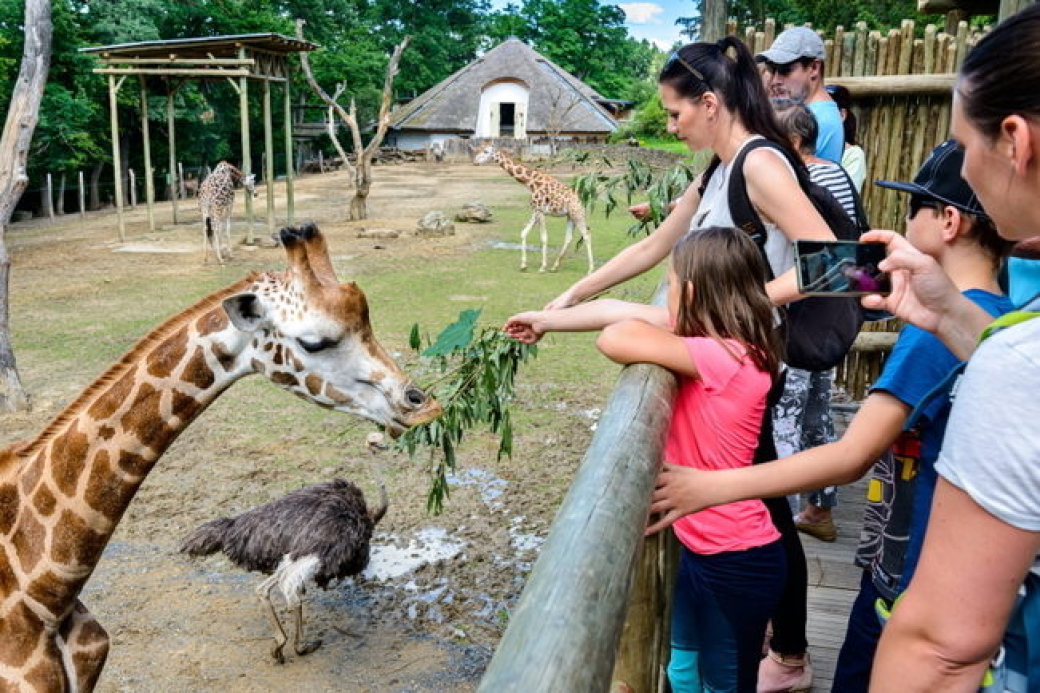 Zlínská zoo slaví nejúspěšnější sezónu v historii. Obyvatele Zlínského kraje odmění symbolickým vstupným