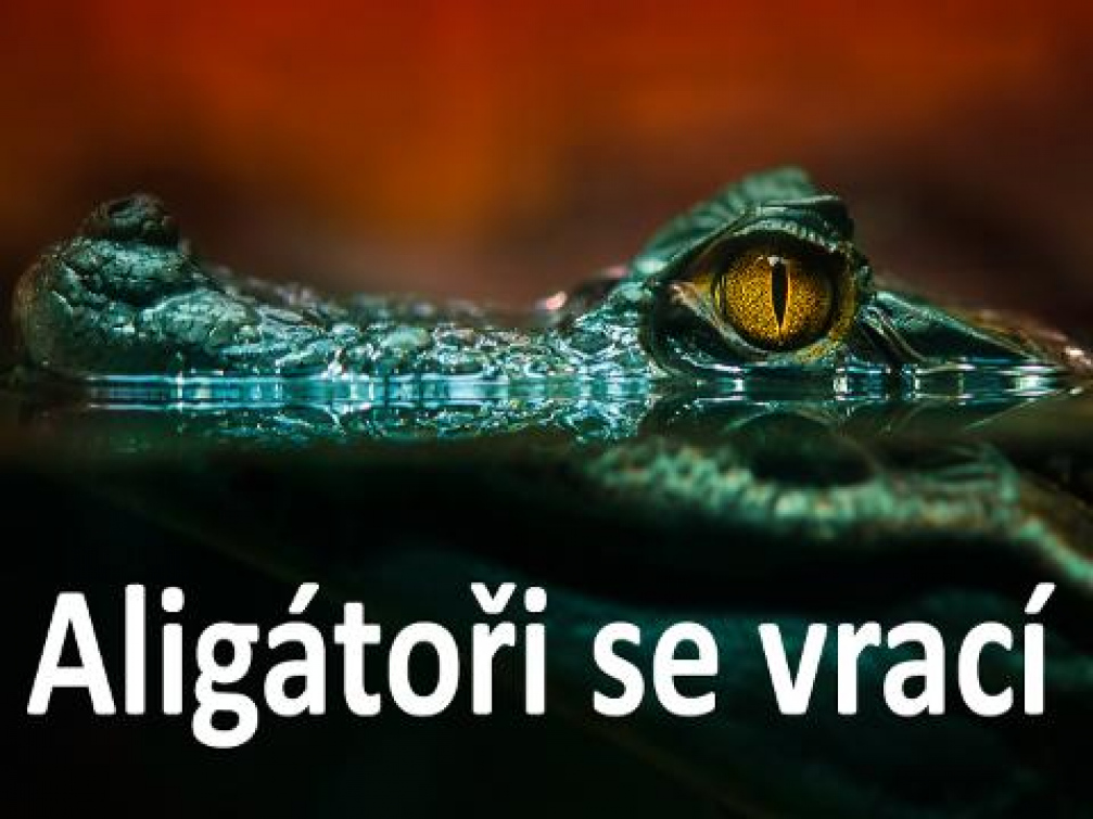 Ve zlínské zoo vzniká nová expozice pro aligátory