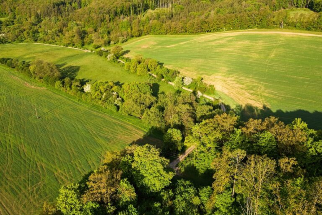 Začala výstavba očekávané cyklostezky mezi Polichnem a Újezdcem. Hotovo bude na podzim