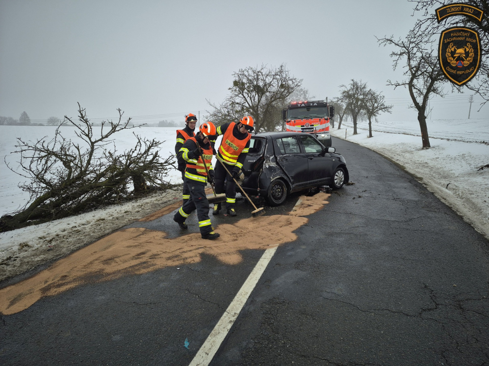 Řidič porazil autem strom