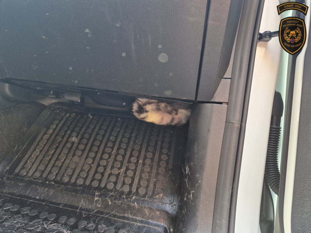 Hasiči vytahovali z auta zaklíněnou kočku