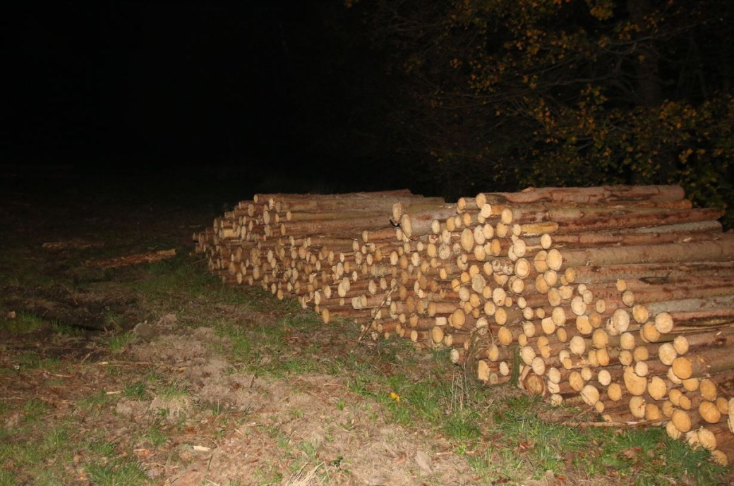 Pytláctví a krádež dřeva se nevyplácí. Proběhla preventivní akce 