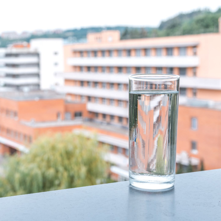 Světový den ledvin opět upozorňuje na význam prevence