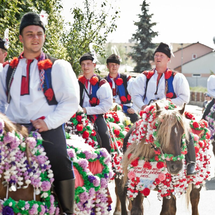 Krajská rada podpořila konání kulturních akcí nadregionálního významu