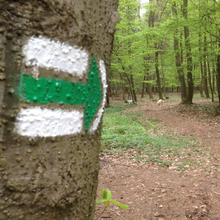 Kraj přispěje turistům, na značení tras dá 600 tisíc korun