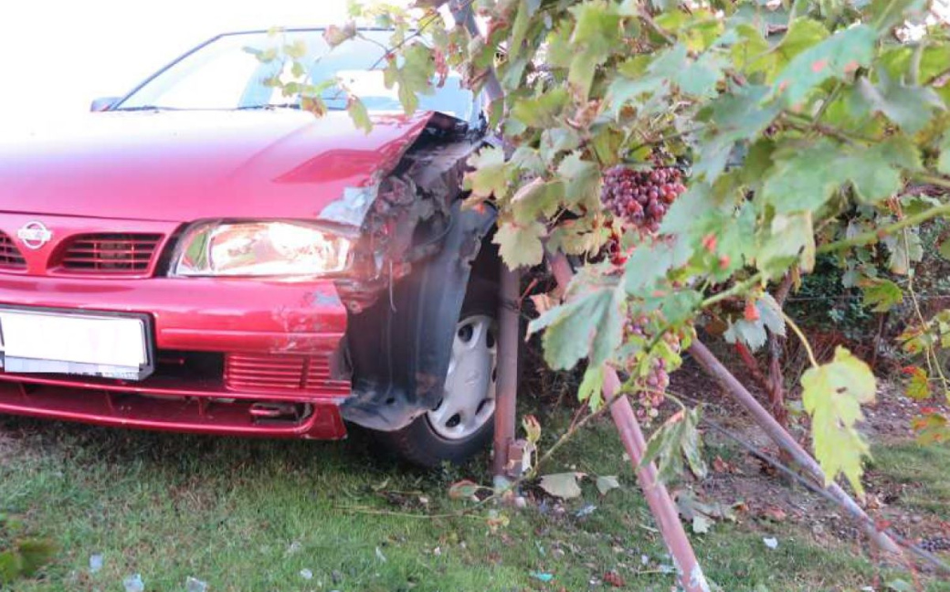 Naboural do vinohradu. Měl přes dvě a půl promile 