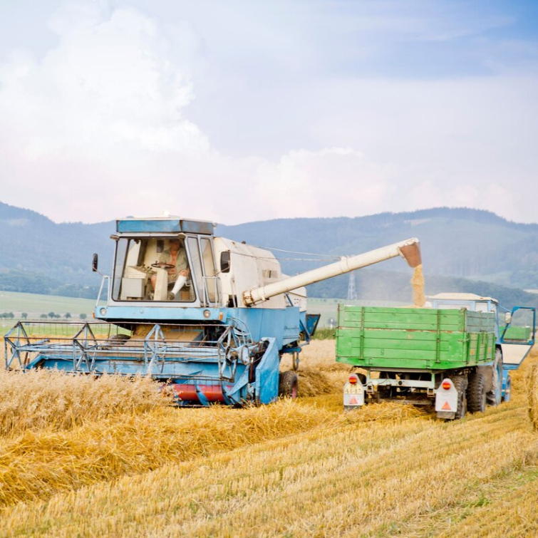 Kraj opět finančně podpoří regionální zemědělskou produkci