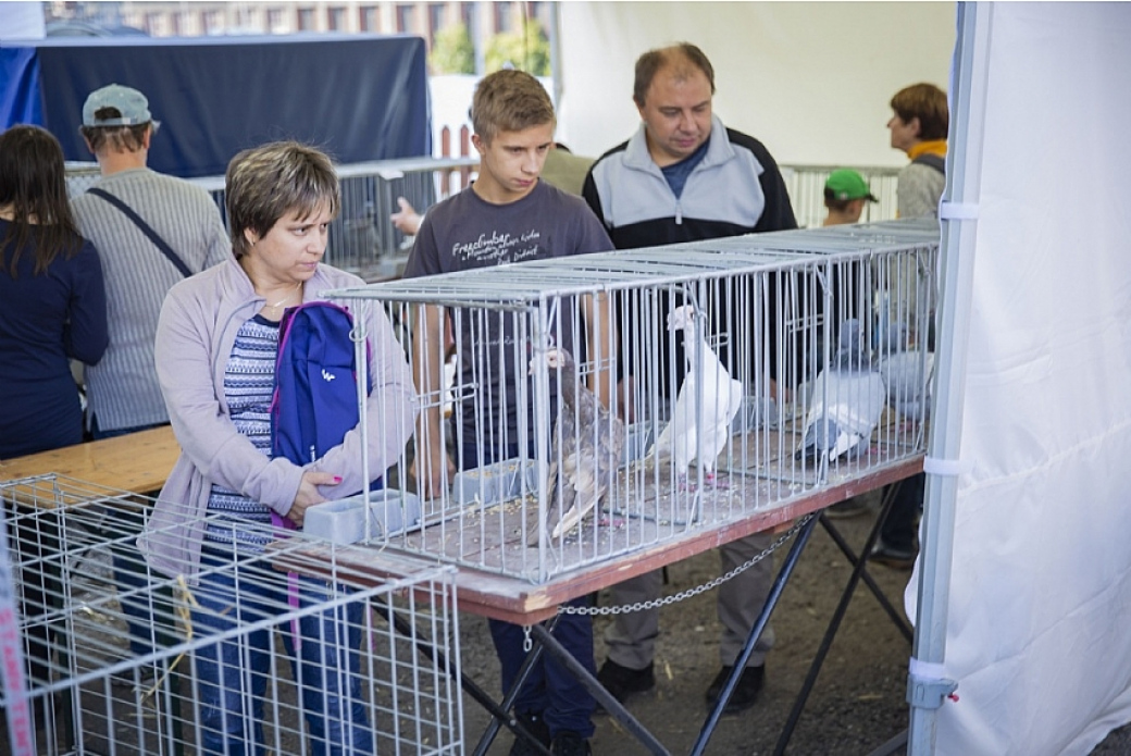 Kraj podpoří nové projekty se zemědělskou tématikou