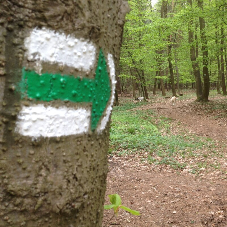 Na obnovu a údržbu značených turistických tras poskytne kraj 600 tisíc