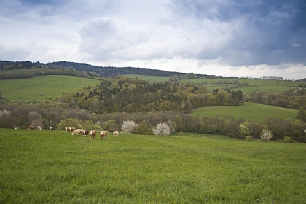 Zlínský kraj zajistí údržbu zvláště chráněných území