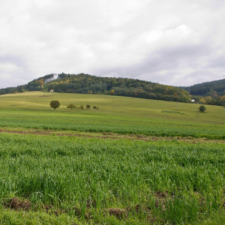 Zlínský kraj přispěje na údržbu zvláště chráněných území