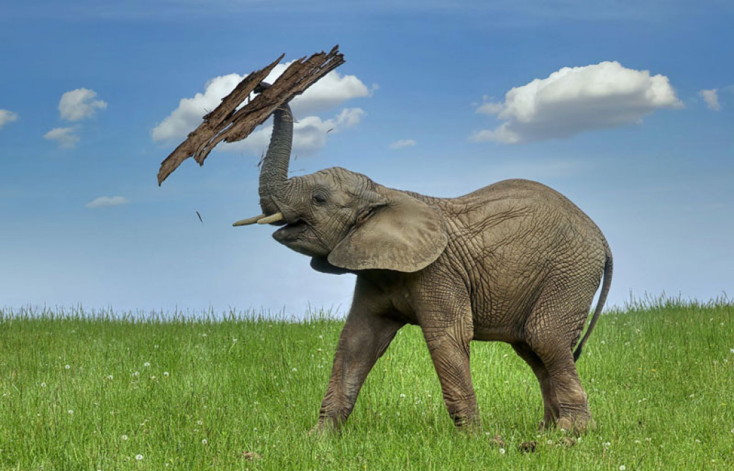 Hranice 800 000 návštěvníků už je nadosah