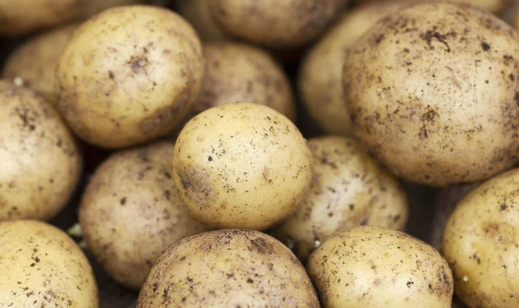 Na poli ukradl 5 kilo brambor. Kvůli recidivě mu hrozí až tři roky