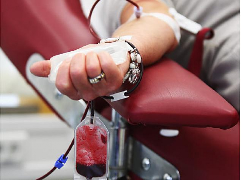 Krásky přijdou darovat krev do zlínské transfúzní stanice