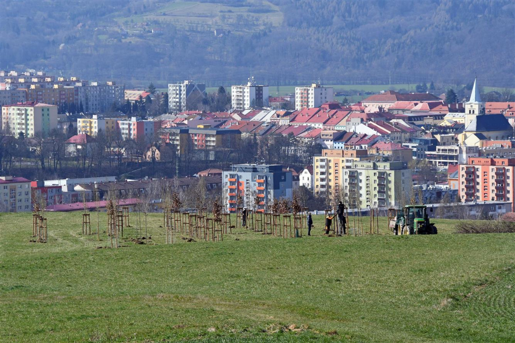 Výsadba Florální oázy je v plném proudu