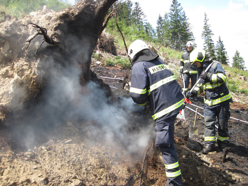 Hořící les ve Vidči hasilo pět jednotek hasičů